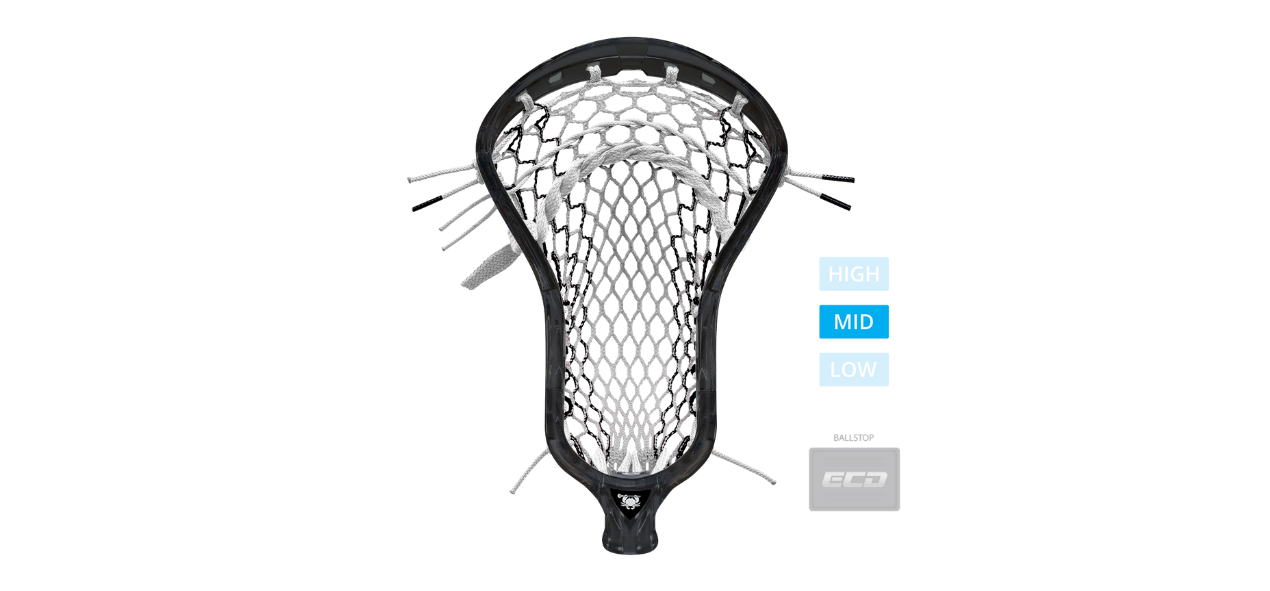 ECD ION Midnight- Prestrung
